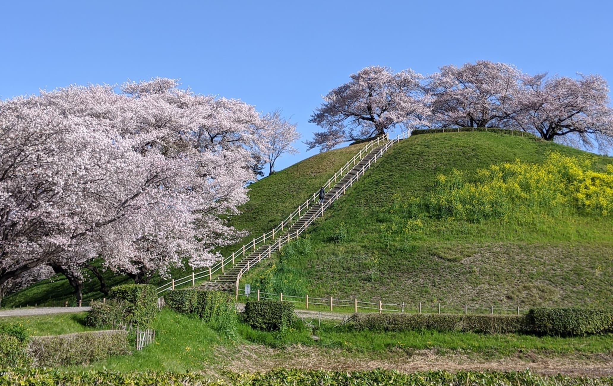 Sakitama Kofun Park