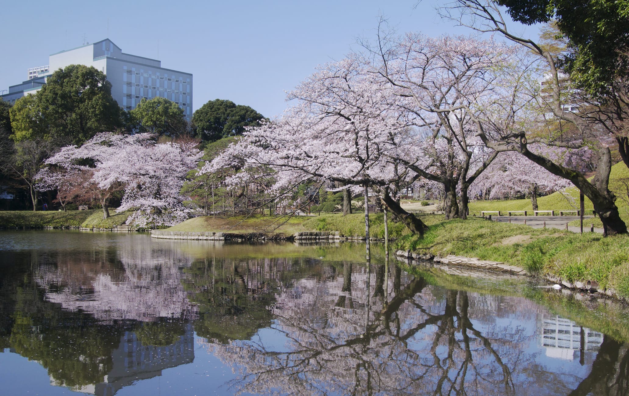 koishikawa-korakuen garden