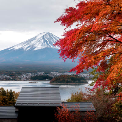 Outdoor Life in Japan: Travel for the “New Normal” Generation