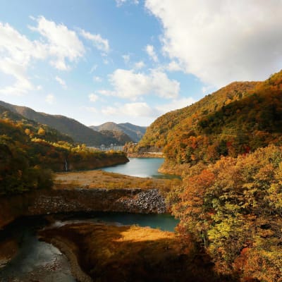 bullet train day trip from tokyo