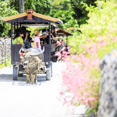 Isla de Taketomi (Taketomijima)