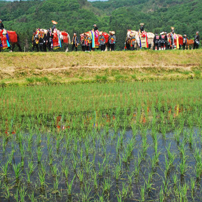 Festival Chago Chago Umakko