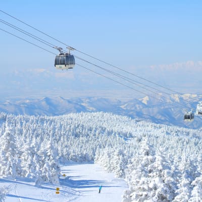 Zao Juhyo Snow Monsters-WIN