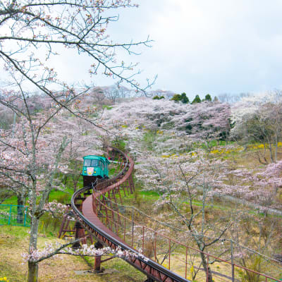 Parque del castillo de Funaoka