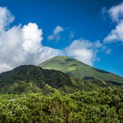 Île de Hachijo (Hachijojima)