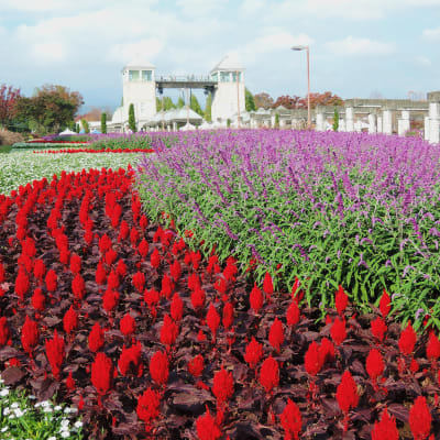 Parc floral de Gunma