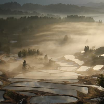 Arrozais em terraços de Hoshitoge