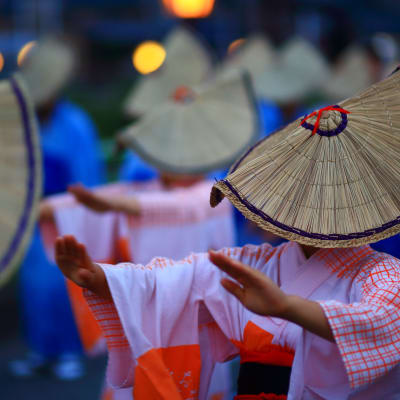 Owara-Kaze-no-Bon-Fest