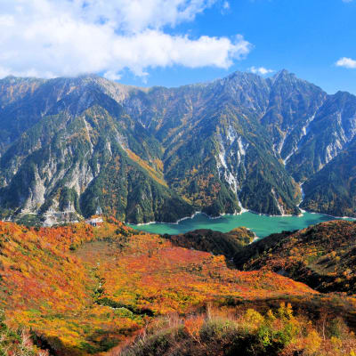 Ruta Alpina de Tateyama Kurobe (Nagano)