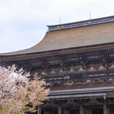 Templo Kinpusenji