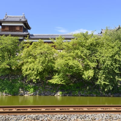 Castillo de Koriyama
