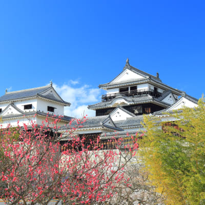 Parque de Matsuyama Shiroyama
