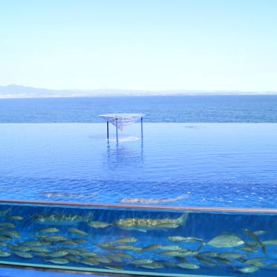 Aquarium Marine Palace d'Oita