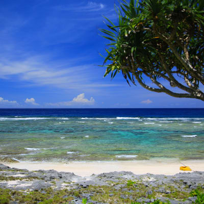 Île d'Okinoerabu (Okinoerabujima)