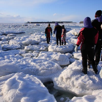 Drift Ice Walks