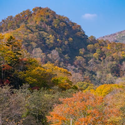 Centro del Visitante de Rausu