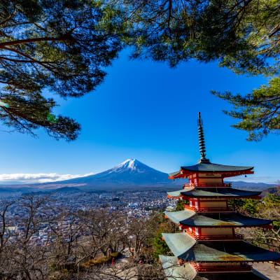 Parque de Arakurayama Sengen