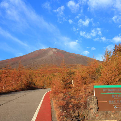 Subashiri 5th Station