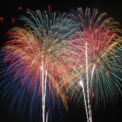 Festival de Yonago Gaina