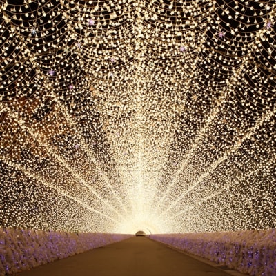 Nabana no Sato Flower Park