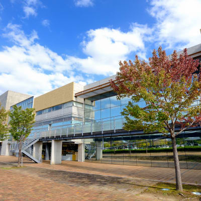 Museo de Historia Natural y Humana de Kitakyushu