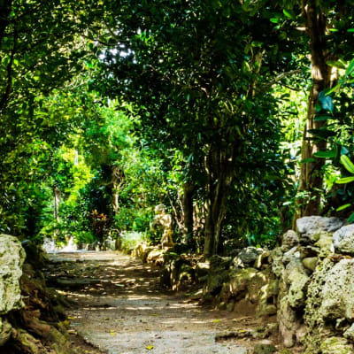 Aventura tropical en Okinawa