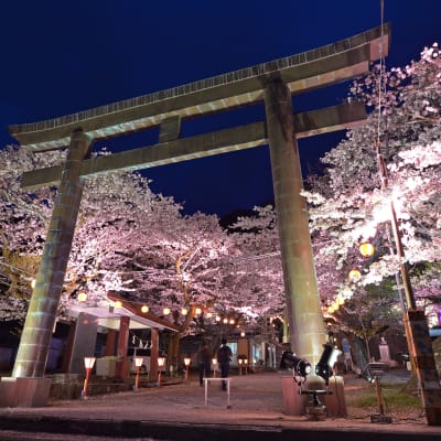 Kirschblütenbankett im Kinugawa Onsen