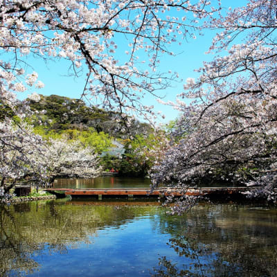Santuario Tsurugaoka Hachimangu