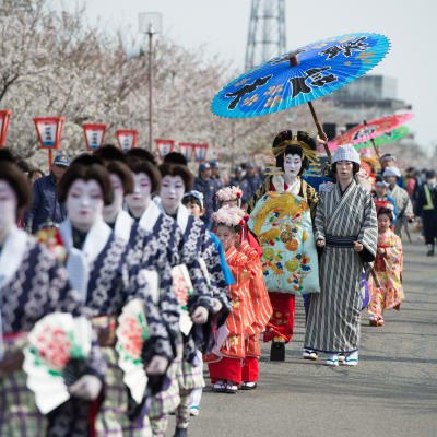 Tsubame Cherry Blossom Festival
