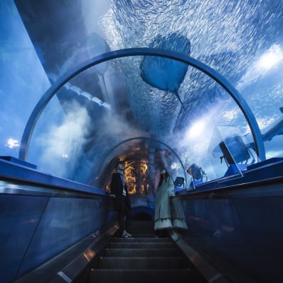 Complexe Yokohama Hakkeijima Sea Paradise