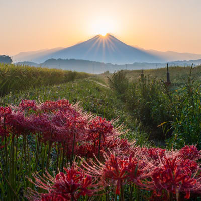 The Art and Beauty of Japan’s San’in Region