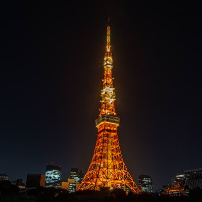 Torre de Tóquio (Tokyo Tower)