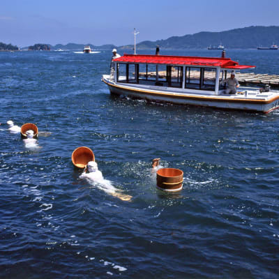 Isla de las perlas de Mikimoto