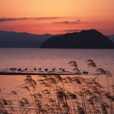 Île de Chikubu (Chikubushima)