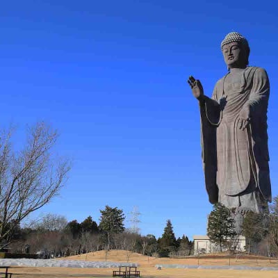 Ushiku Daibutsu