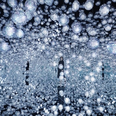 EPSON teamLab Borderless: MORI Building DIGITAL ART MUSEUM