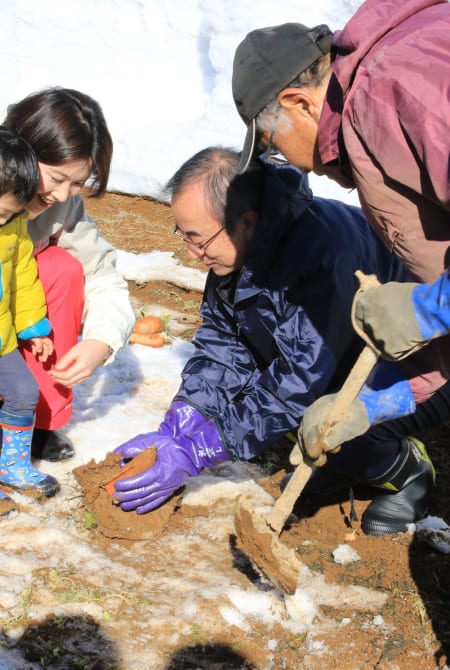 Harvesting during winter in Japan