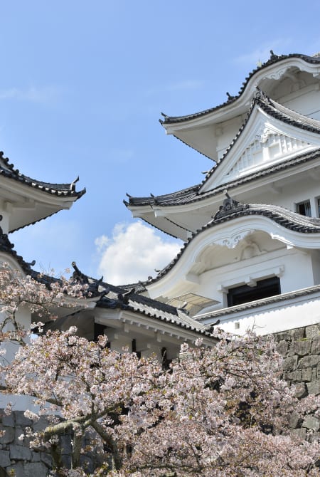 iga ueno castle
