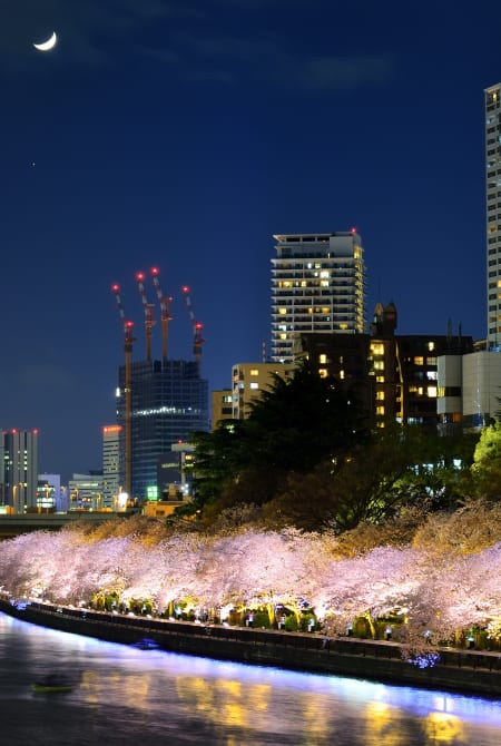 nakanoshima area