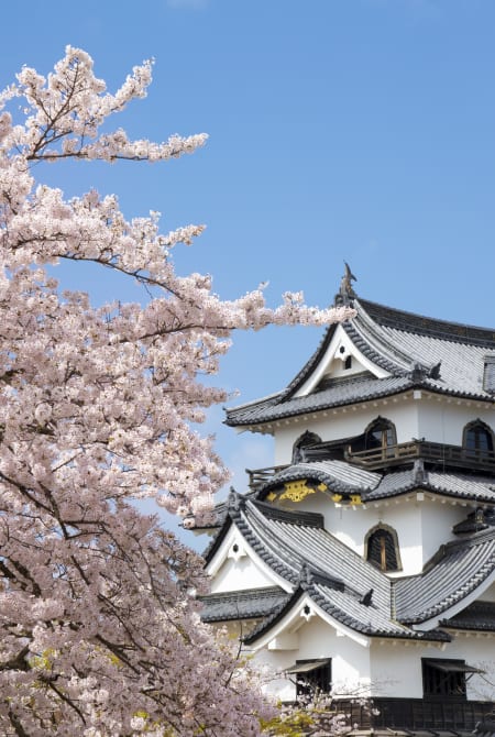 hikone castle