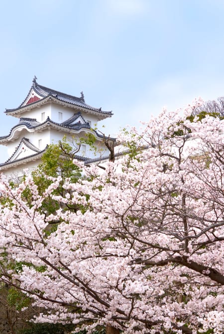 akashi castle akashi park