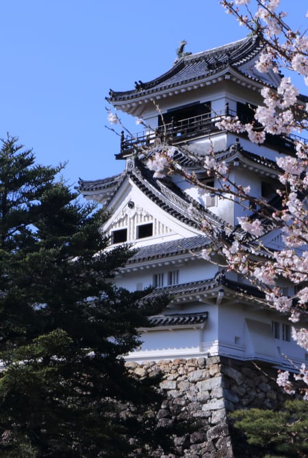 kochi castle