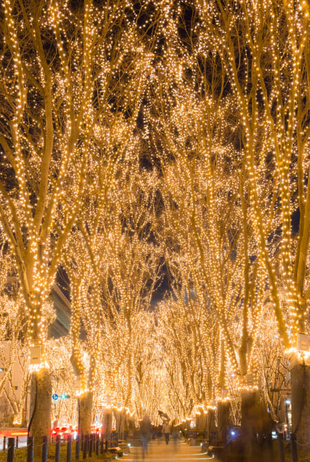 Seasonal Highlights Miyagi in December