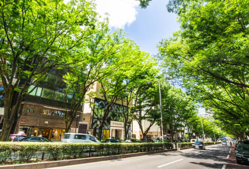 Harajuku & Omotesando & Aoyama Area