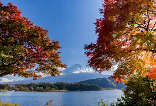 fuji five lakes