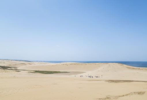 Tottori Sand Dunes