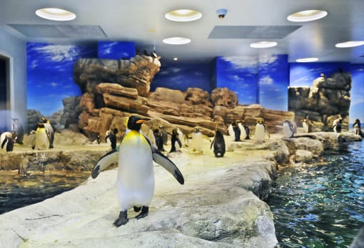 Shimonoseki Kaikyokan