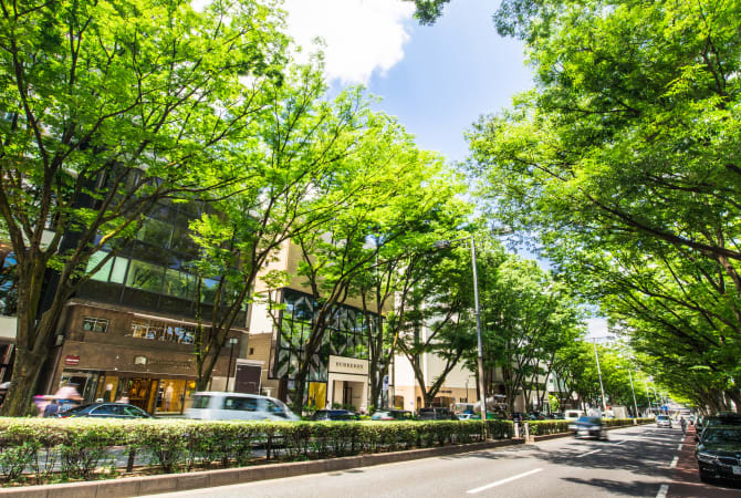 Harajuku & Omotesando & Aoyama Area