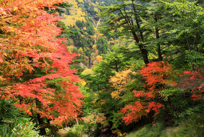 Kinugawa Onsen Oku-Kinu Area