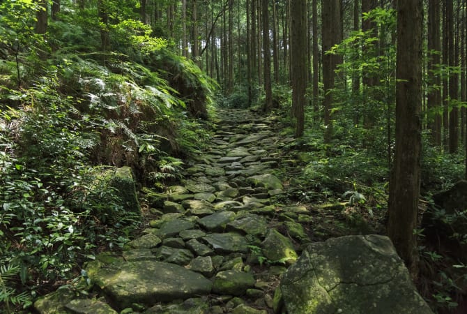 Magose-toge Pass of Kumano Kodo